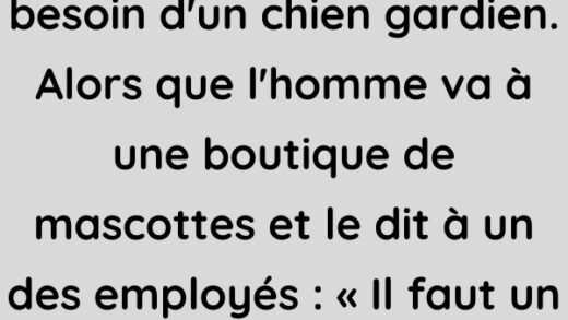 Un pareja décide qu'il faut un chien gardien