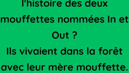 Deux mouffettes dans la forêt