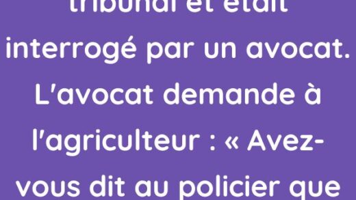 Un agriculteur était au tribunal et était interrogé par un avocat