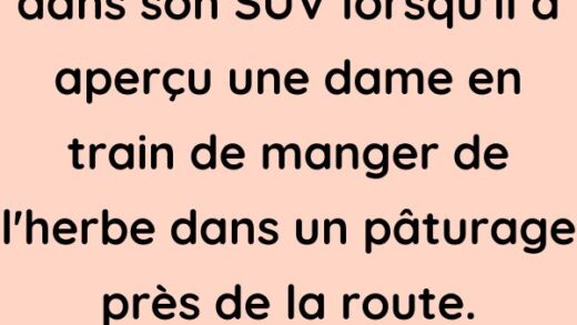 Un multimillionnaire roulait dans son SUV