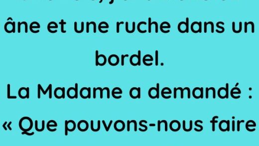 Une fois, j'ai amené un âne et une ruche dans un bordel.