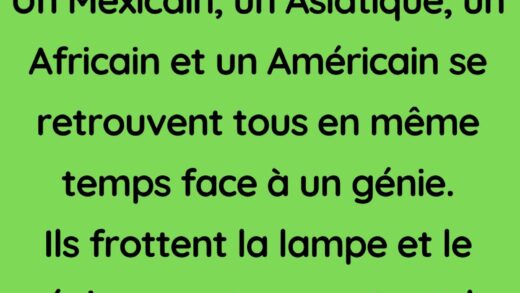 Un Génie et un Souhait Inattendu