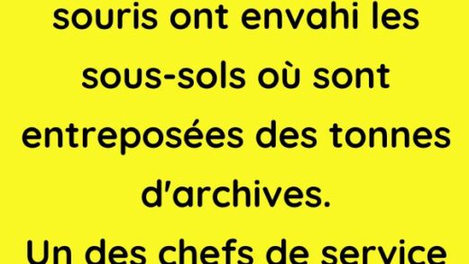 Dans un ministere les souris ont envahi