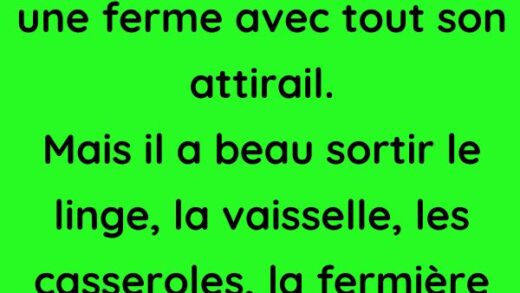 Un colporteur arrive dans une ferme avec