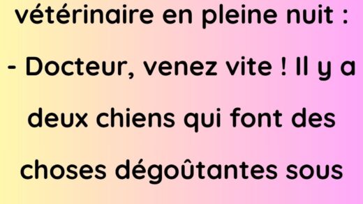 Une vieille fille appelle son veterinaire en pleine nuit